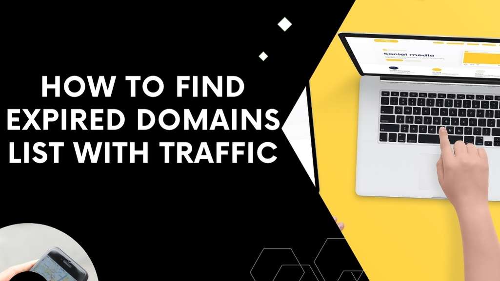 Expired Domains List with Traffic
